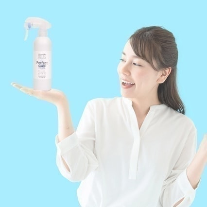 パーフェクトガードとはイメージ